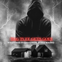 (TGG) Tuff Gets Goin (feat. Freednom & Dee Wayne) - Single - RaPPaGe
