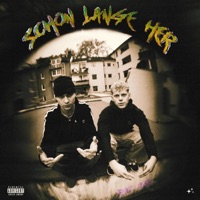 schon lange her (feat. dusy) - Single - ssam