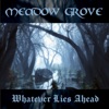 Whatever Lies Ahead, I Will Go On cover art