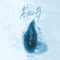 落雨岛 - Single - YD & Dongxu Wu