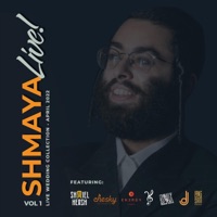 Live Wedding Collection - Shmaya Fischer