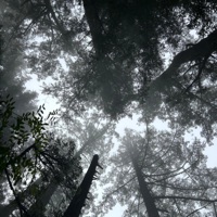 Ten/Ten - Single - Ozzie B