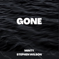 Gone - Single - Stephen Wilson & minty