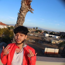 Hollywood Young Alex