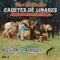 Los Dos Amigos - Los Cadetes De Linares lyrics