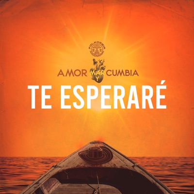Te Esperaré - Single