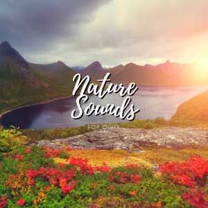 Nature Sounds For Quite