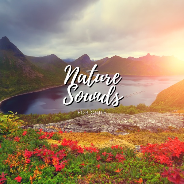 Nature Sounds For Quite