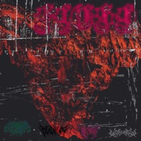 FLESH (feat. Sxtxn Drxgon, KXJIMV 9999 & Dead Synth) - Single - Shaitan?