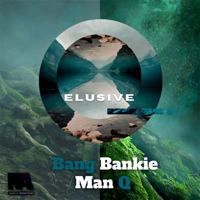 Elusive - Single