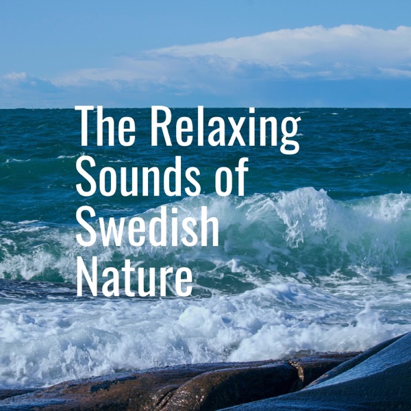 Calming Ocean Waves - EP