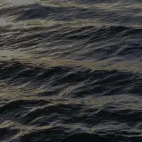 Drift (Rain) — Kinoko