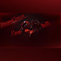 Señorita (feat. DRSK) - Single - Briana Pătrașcu