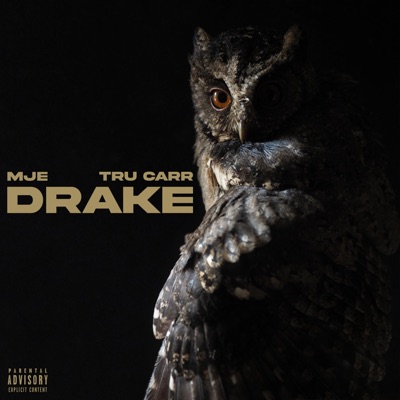 Drake (feat. TruCarr) - Single
