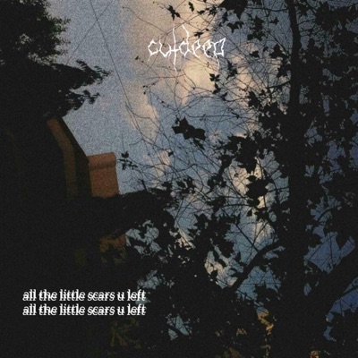 All the Little Scars U Left - EP
