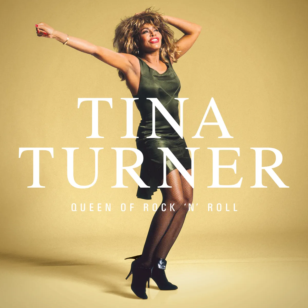 Tina Turner - Queen Of Rock 'n' Roll (2023) [iTunes Plus AAC M4A]-新房子