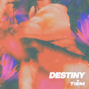 Destiny - Single