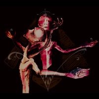 Al ocaso (feat. Las Nietas del Charli & Chaman) - Single - Zetre