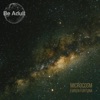 Microcosm - Single