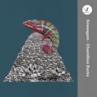 Chamillion Bucks - Single - Smeeagain