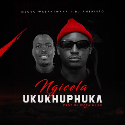 Ngcela Ukukhuphuka (feat. Dj Amenisto & Woza Mlilo) - Single