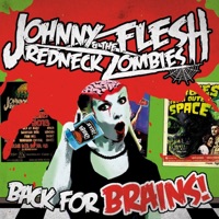 Johnny Flesh & The Redneck Zombies - Sinner in Hell