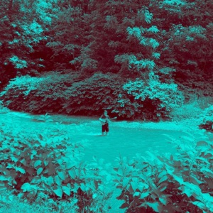 Insane - Single
