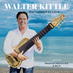 Surrounded by Love (feat. Marion Meadows & Nils) - Single