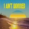 I Ain't Worried (feat. Chris Medina) - Chill Gull, DALEXO & Good Moon