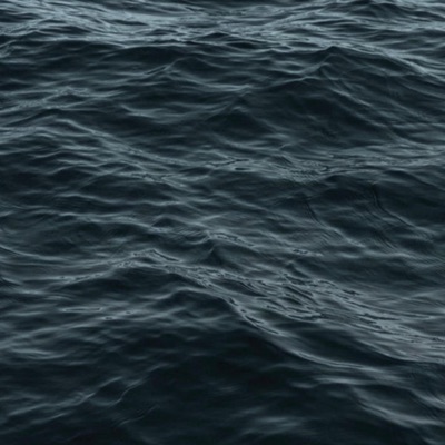 Nature Now - NATURE NOW