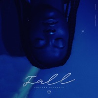 Fall - Single - Chelsea Dinorath