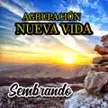 Inmundicia