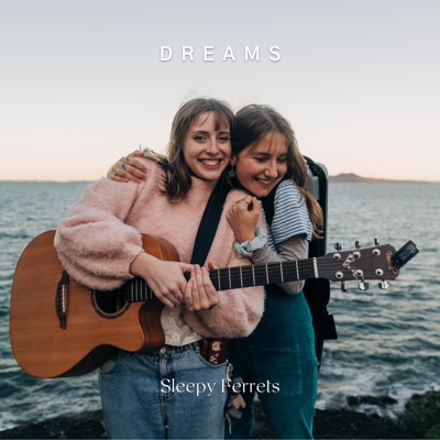 Dreams (Acoustic Violin Version) - Single