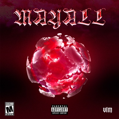 Mayall (feat. DSK) - Single