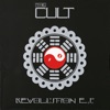 Revolution (Full Length Remix) cover art