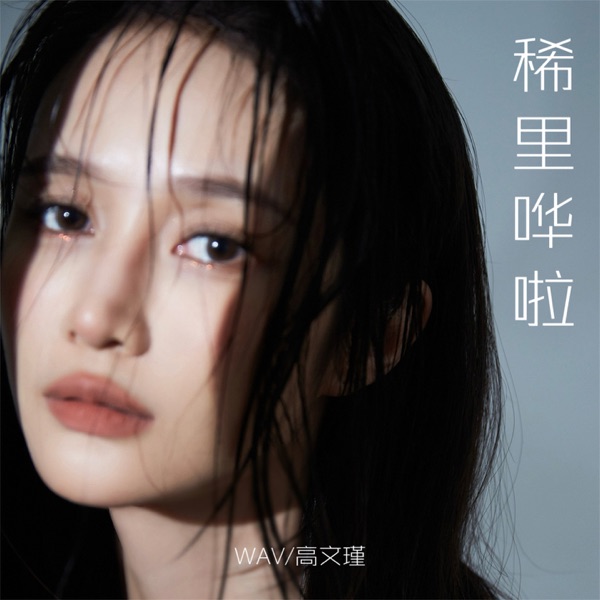 稀里哗啦 - Single