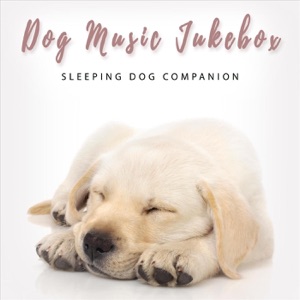 Sleeping Dog Companion