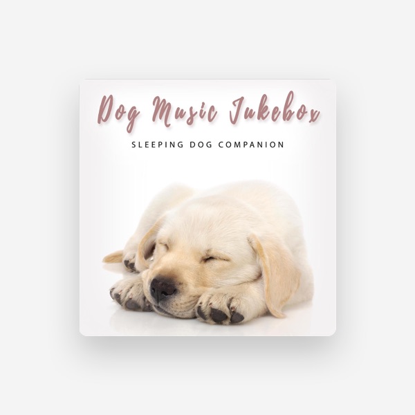 Dog Music Jukebox's avatar