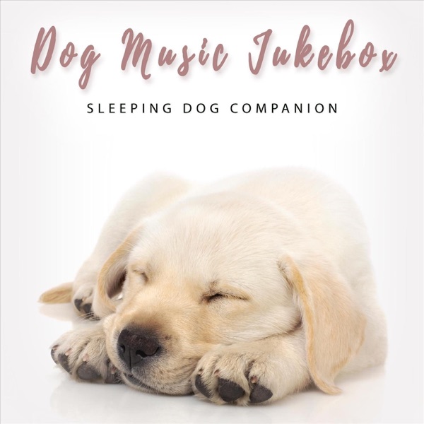Sleeping Dog Companion