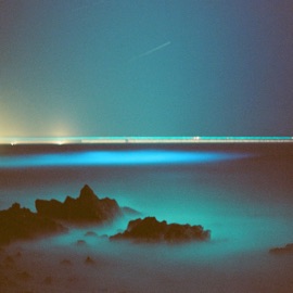 siren veinwave