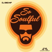 So Soulful - Single - Dj Big Inf