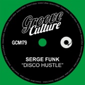 Disco Hustle (Extended Mix) artwork
