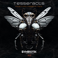 Interrupt / Keep It Right - Single - TESSERACTS