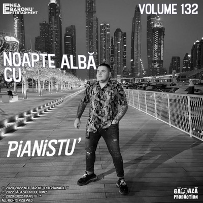 PIANISTU - Petrecere Online