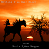 Nothing I've Ever Known (From "Spirit: Stallion of the Cimarron") [feat. Valdo Preema] - Boris Björn Bagger