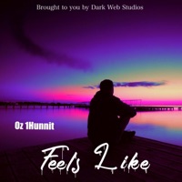 Feels Like - Single - Oz 1Hunnit