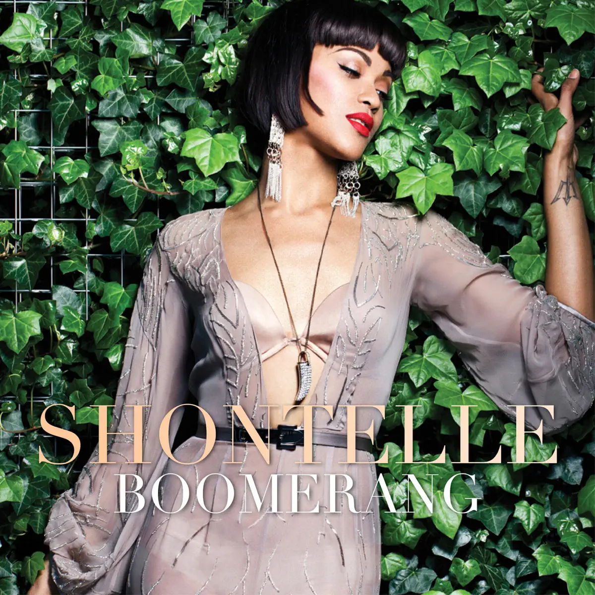 Shontelle - Boomerang (2022) [iTunes Plus AAC M4A]-新房子