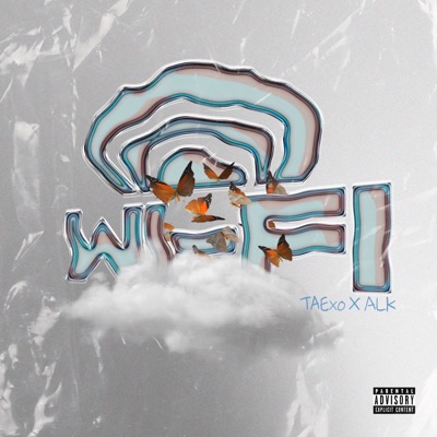 Wifi (feat. ALK) - Single