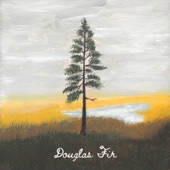 Northwest Stories - Douglas Fir