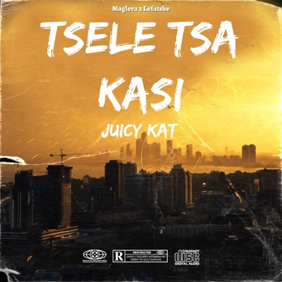 Tsele Tsa Kasi - Single